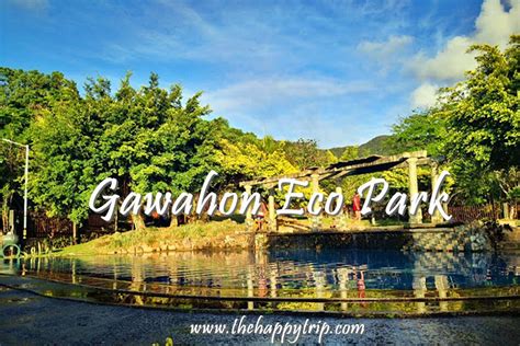 Things To Do in Victorias City, Negros Occidental 2024.